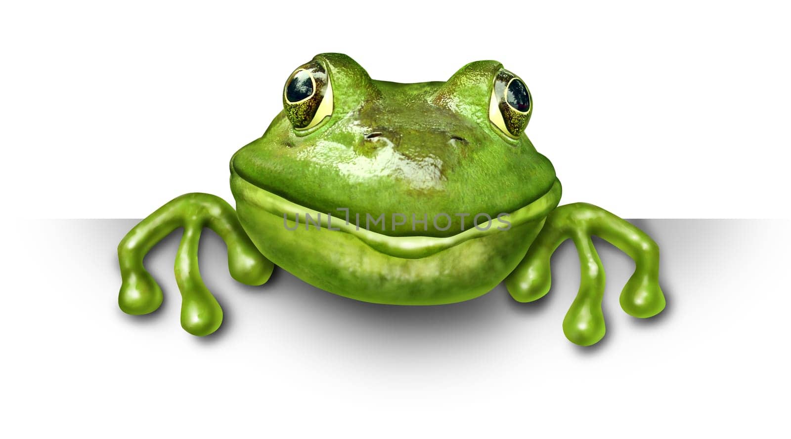 Frog holding a blank sign front view represented by a green happy smiling amphibian holding a white background card for an advertising promotion presenting an important announcement.