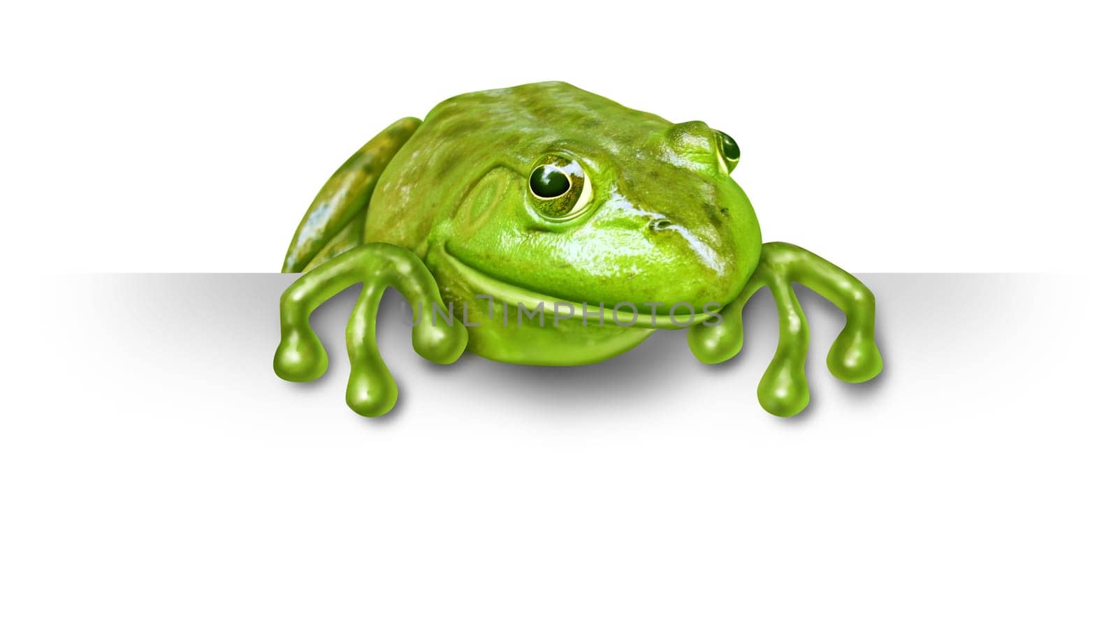 Green frog with a blank sign sitting on the top of a white card background representing an advertisement presented by a green happy amphibian was a promoter and presenter spokesperson character.