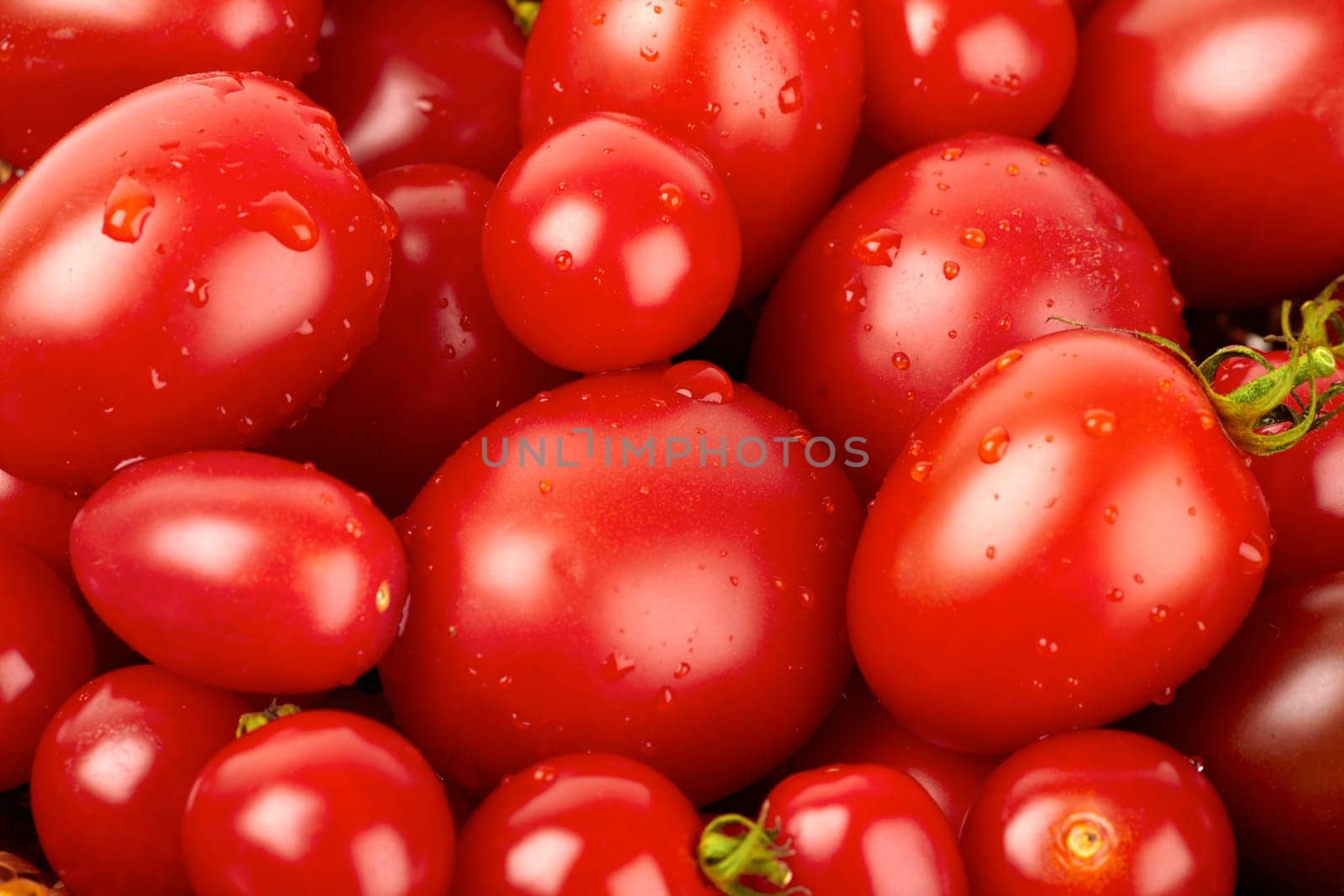 Fresh tomatoes covered with water pots