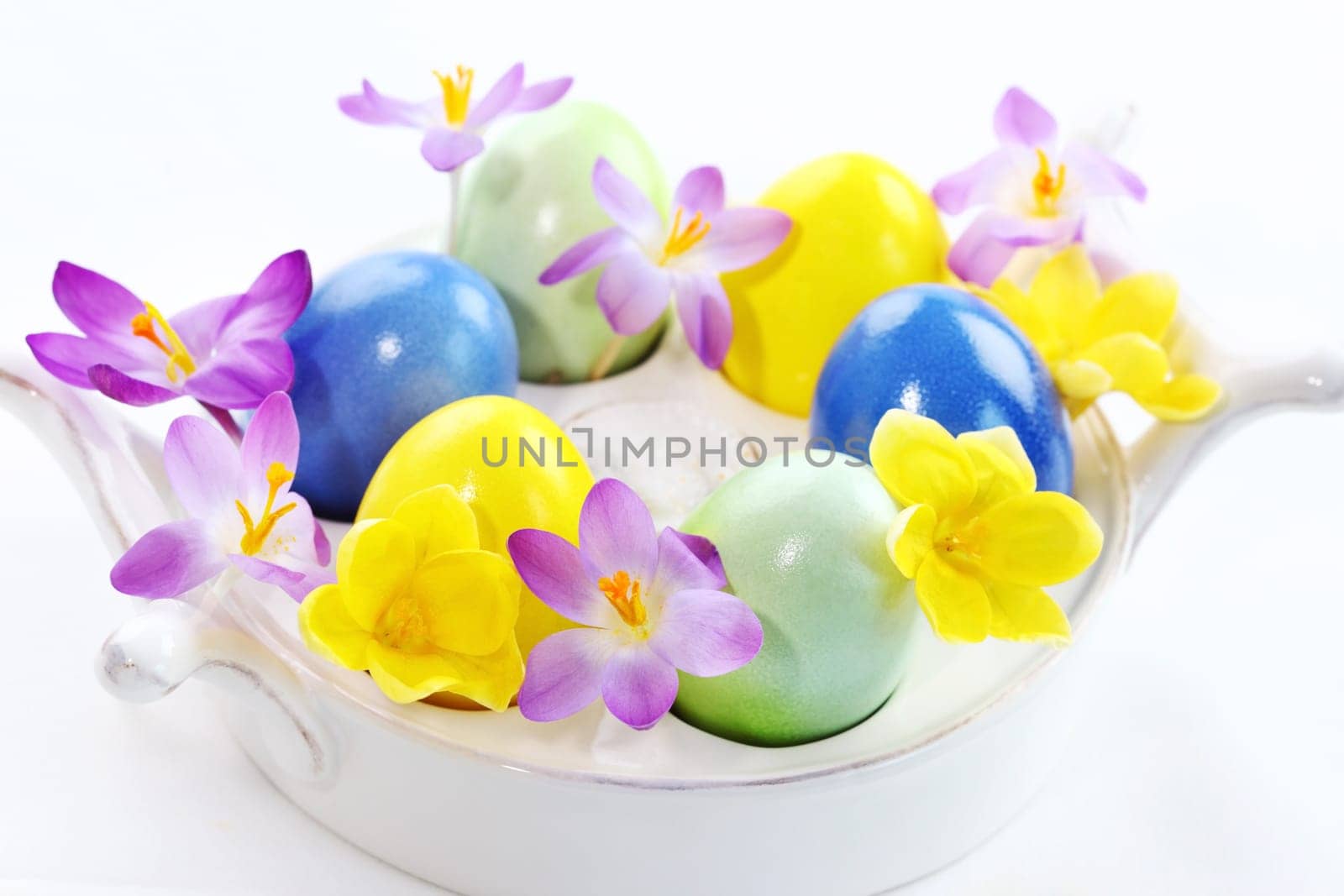 Beautiful Crocuses for Easter and eggs