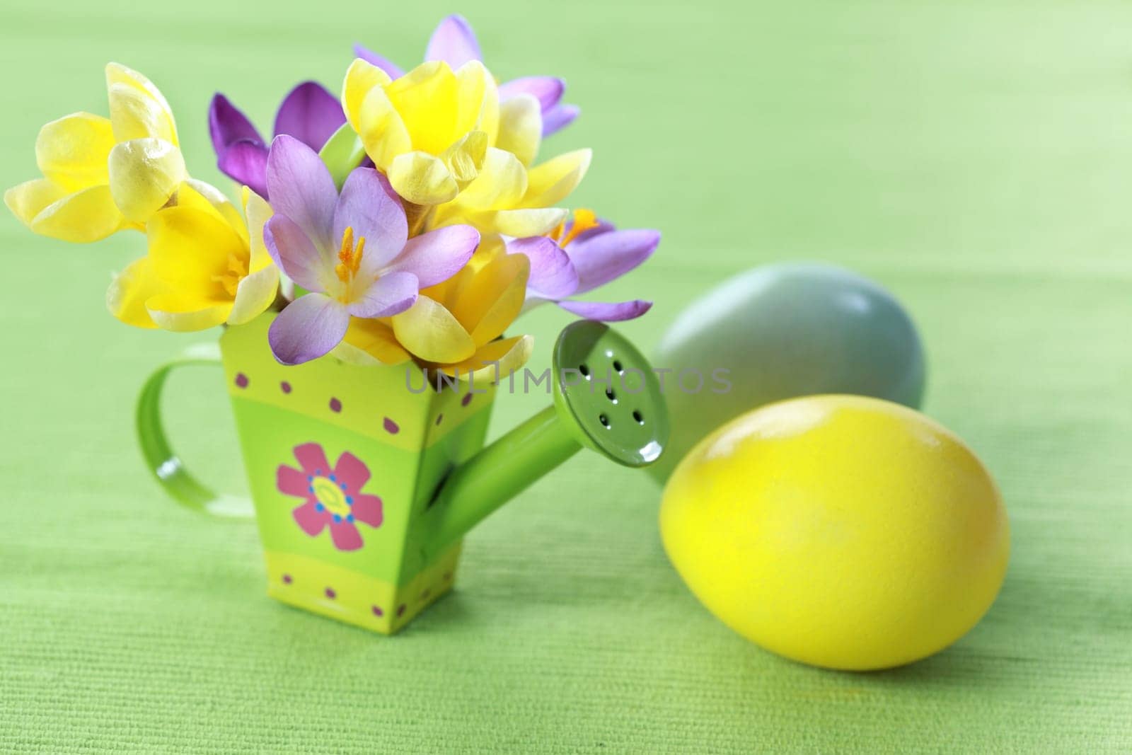 Beautiful Crocuses for Easter and eggs
