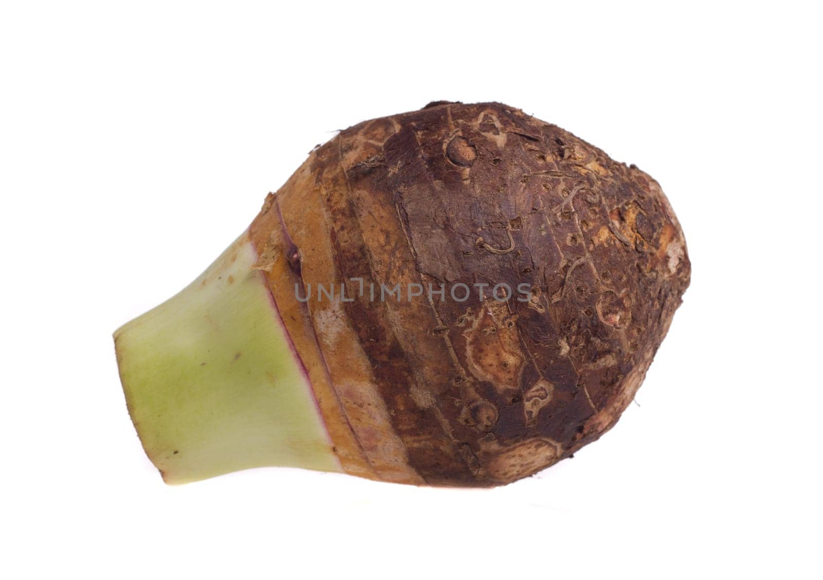 Taro on white background