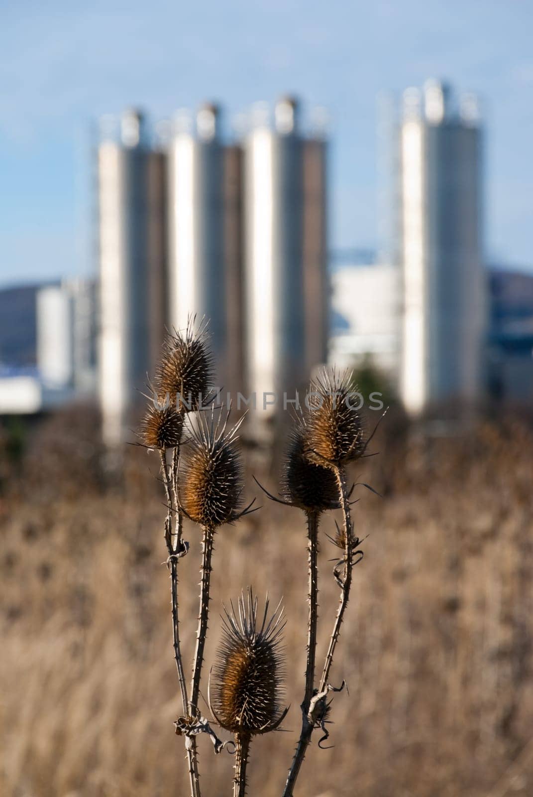 Contrasts on the outskirts of the city