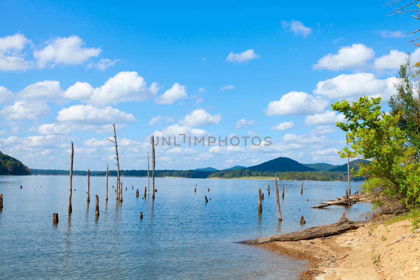 Scenic image of Cave Run Lake in Kentucky
