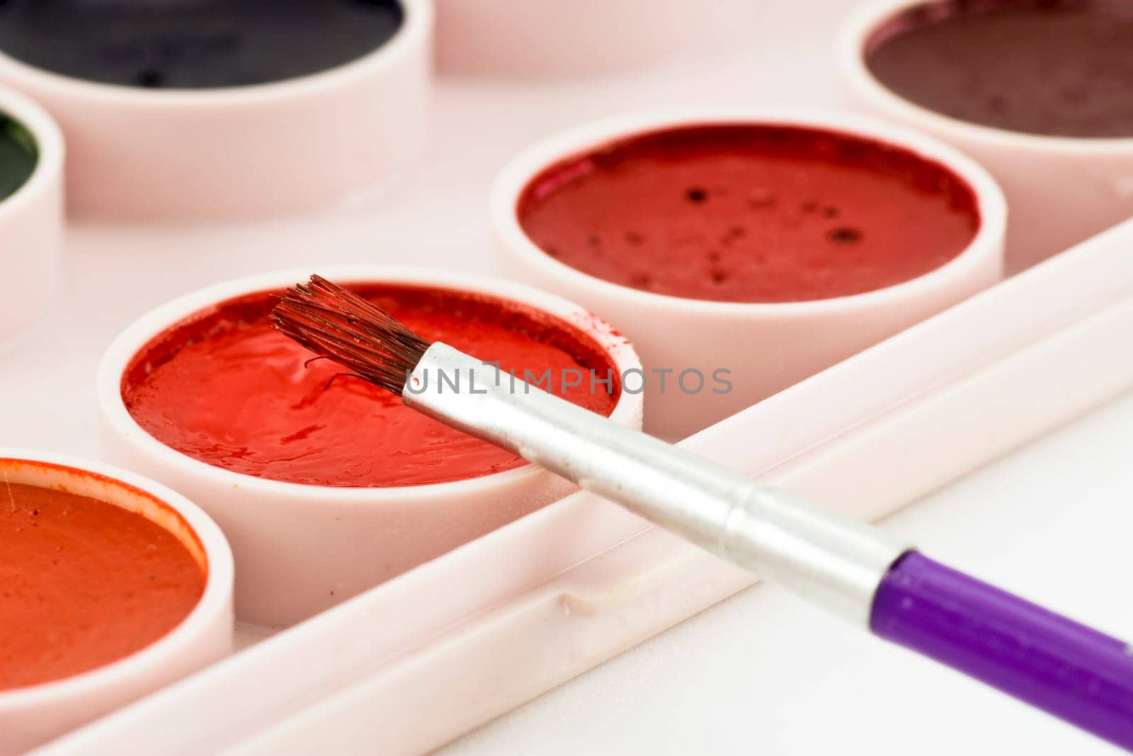 close-up of paintbrush on watercolor paint tray
