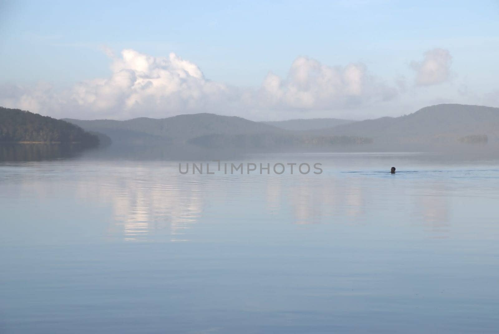 Lone Swimmer