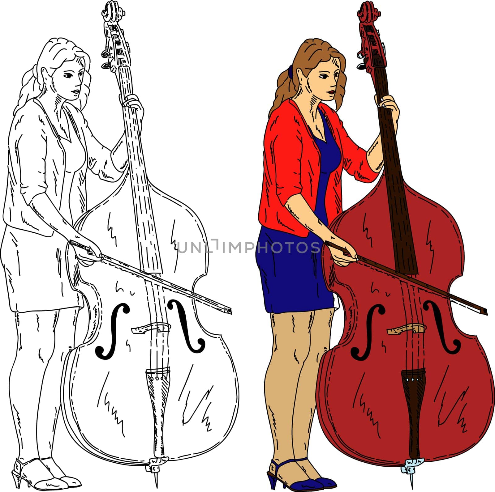 vector - Young woman playing the double-bass , isolated on background