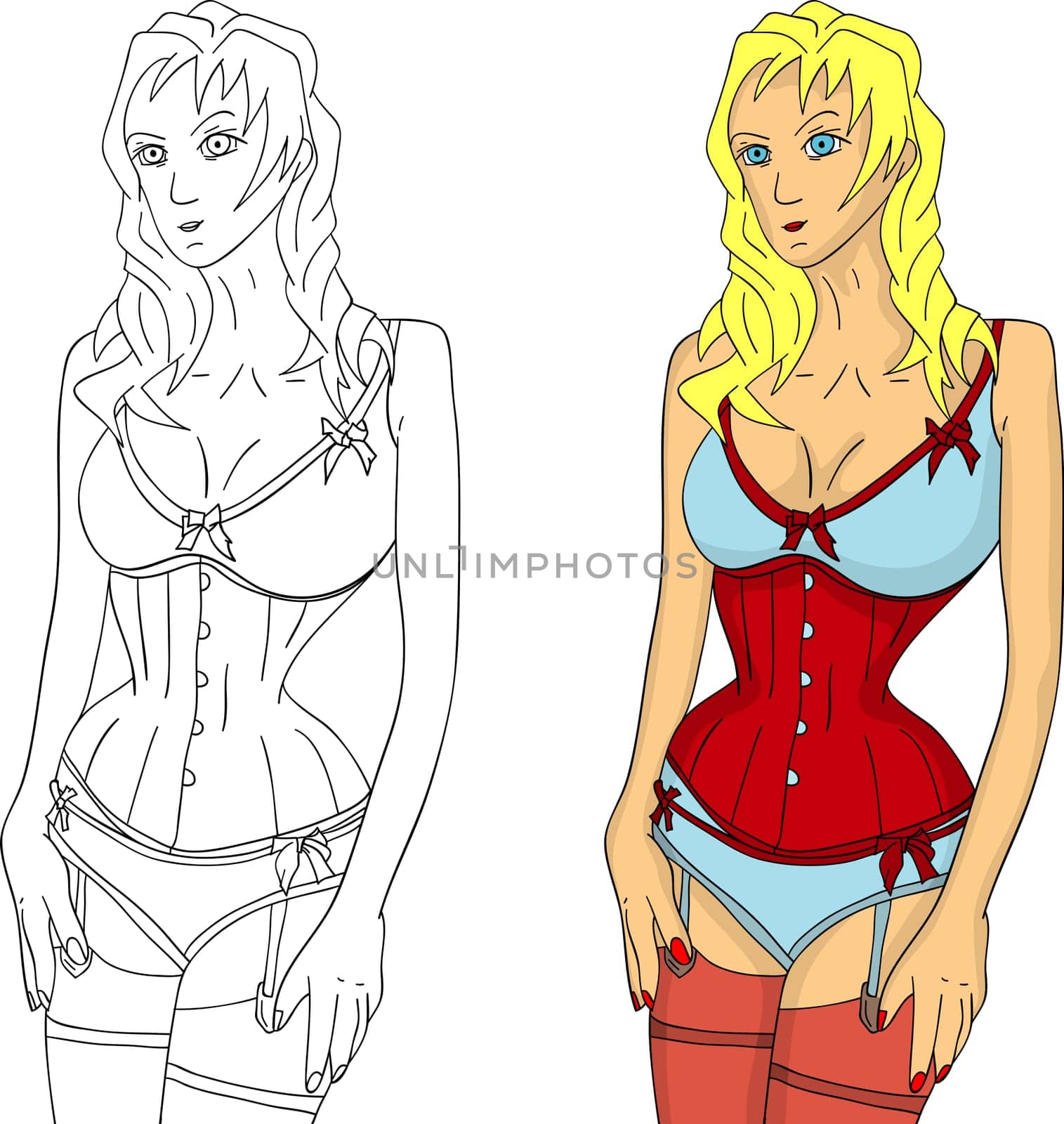 vector - young beautiful woman wearing corset ,isolated on background