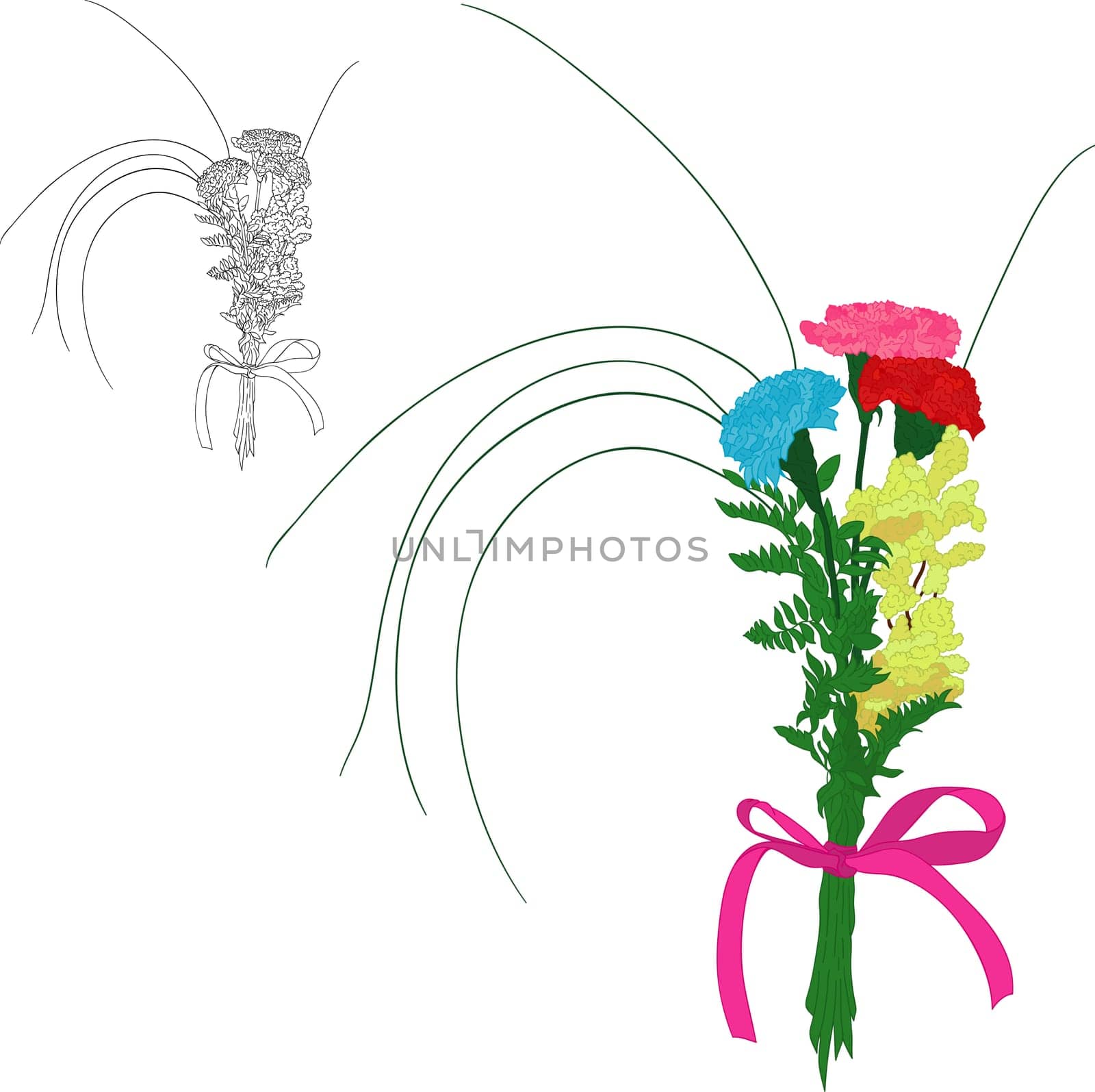 vector - Three color carnations isolated on white