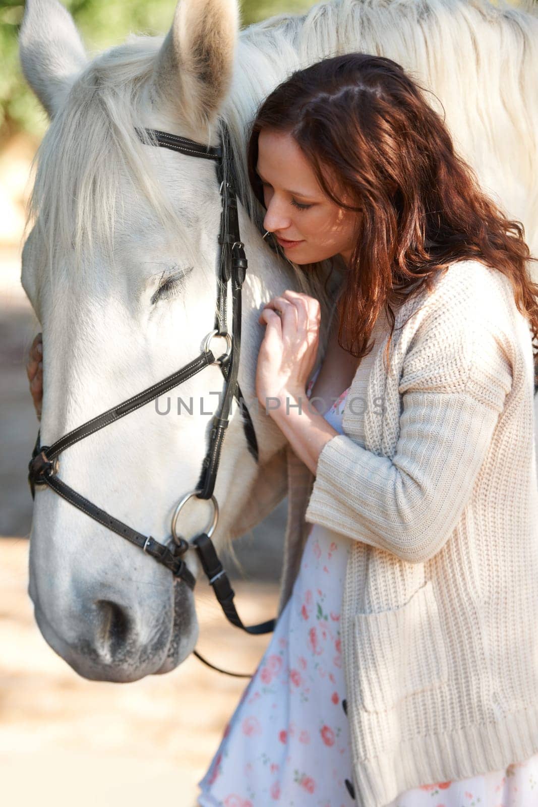 Adventure, love and young woman with her horse on an outdoor farm for sports racing. Smile, training and confident female person from Canada with her equestrian animal or pet in countryside ranch