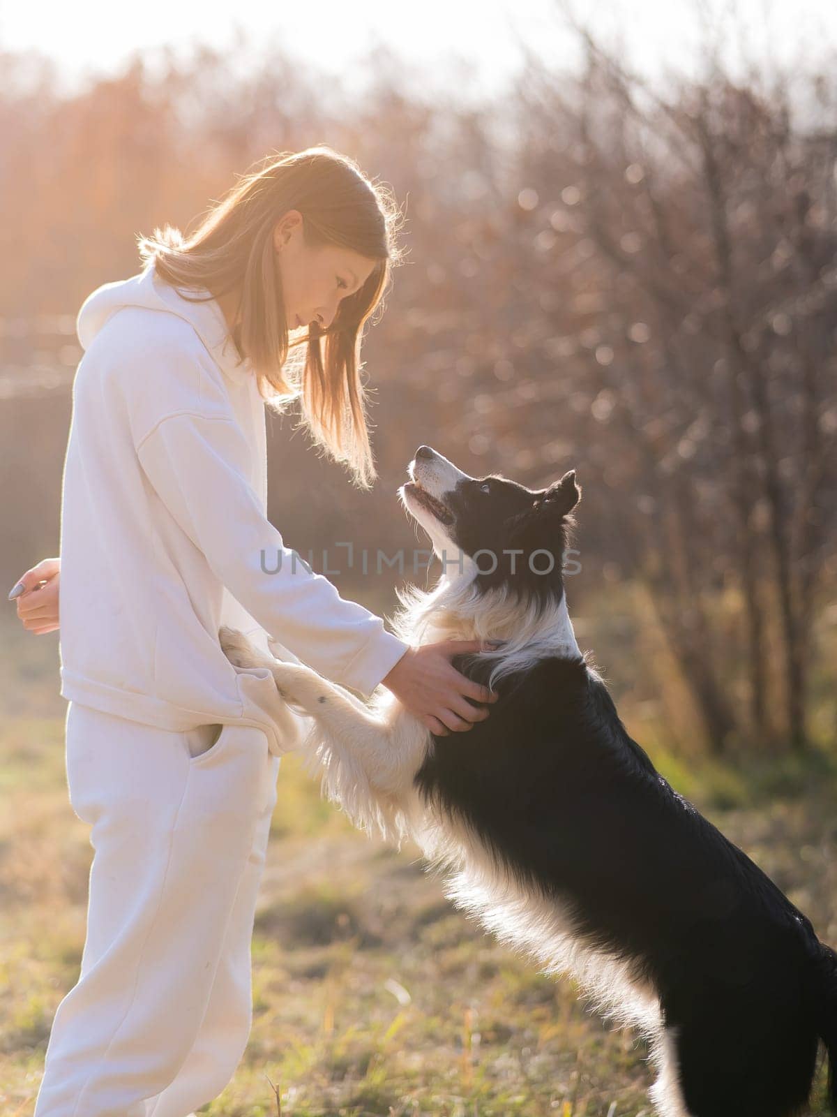 Caucasian woman hugging her dog Border Collie while sitting on a bench in autumn park