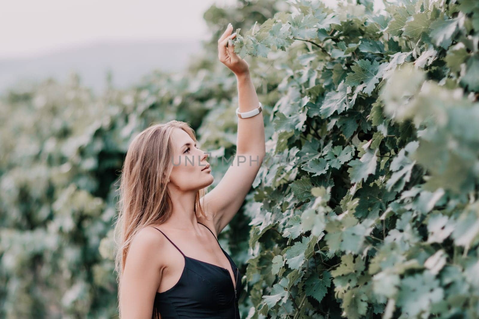 Woman travel winery. Portrait of happy woman holding glass of wine and enjoying in vineyard. Elegant young lady in hat toasting with wineglass smiling cheerfully enjoying her stay at vineyard. by panophotograph