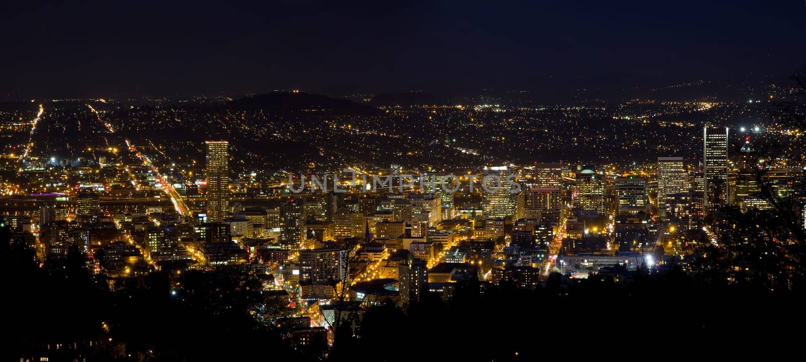 Night Scene of Portland Oregon Downtown Cityscape Panorama