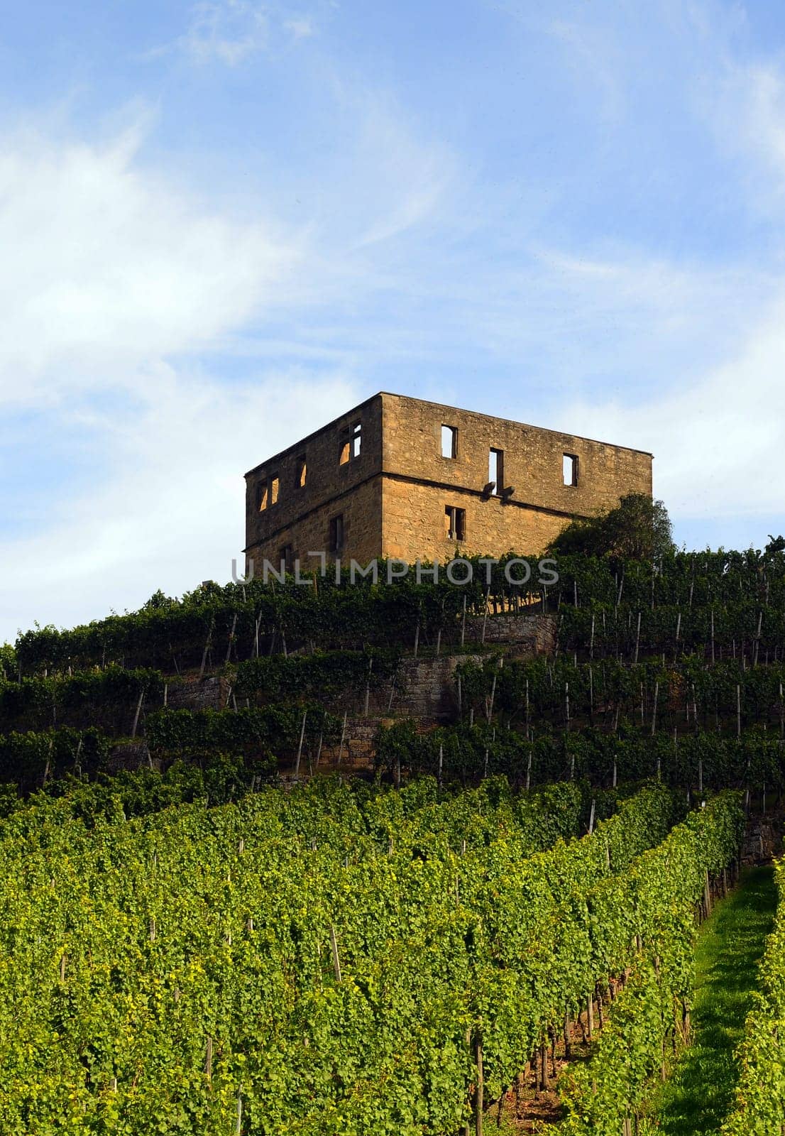 YBurg Stetten im Remstal