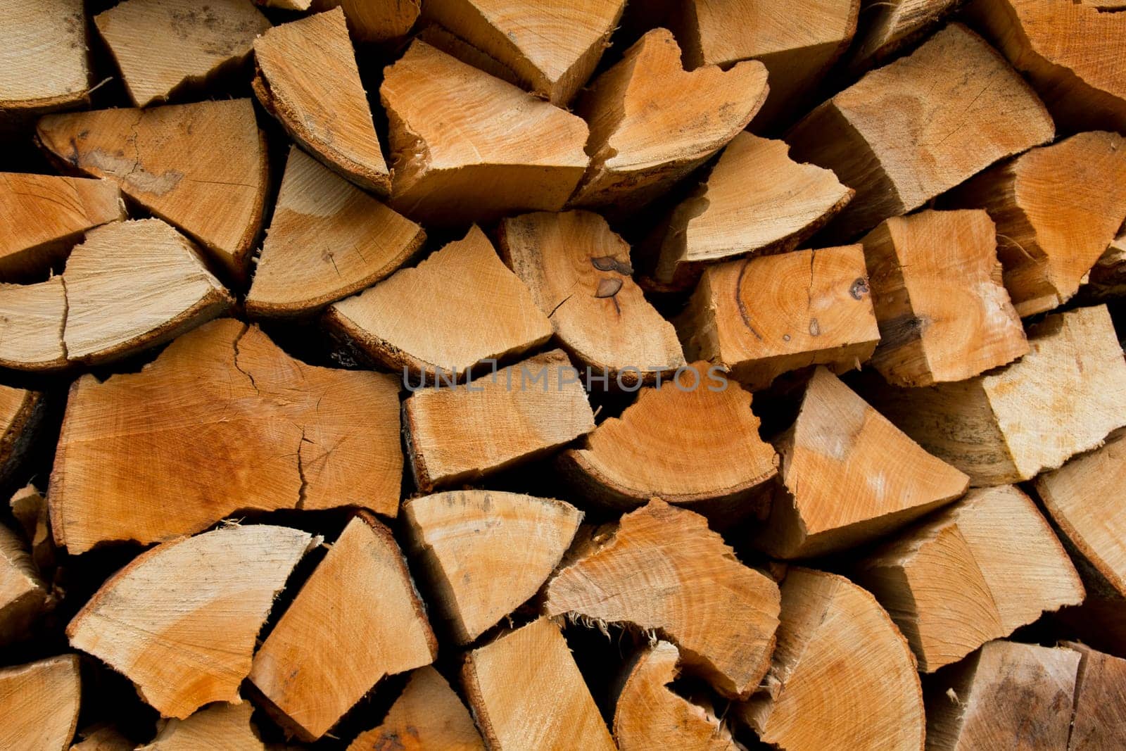 Firewood