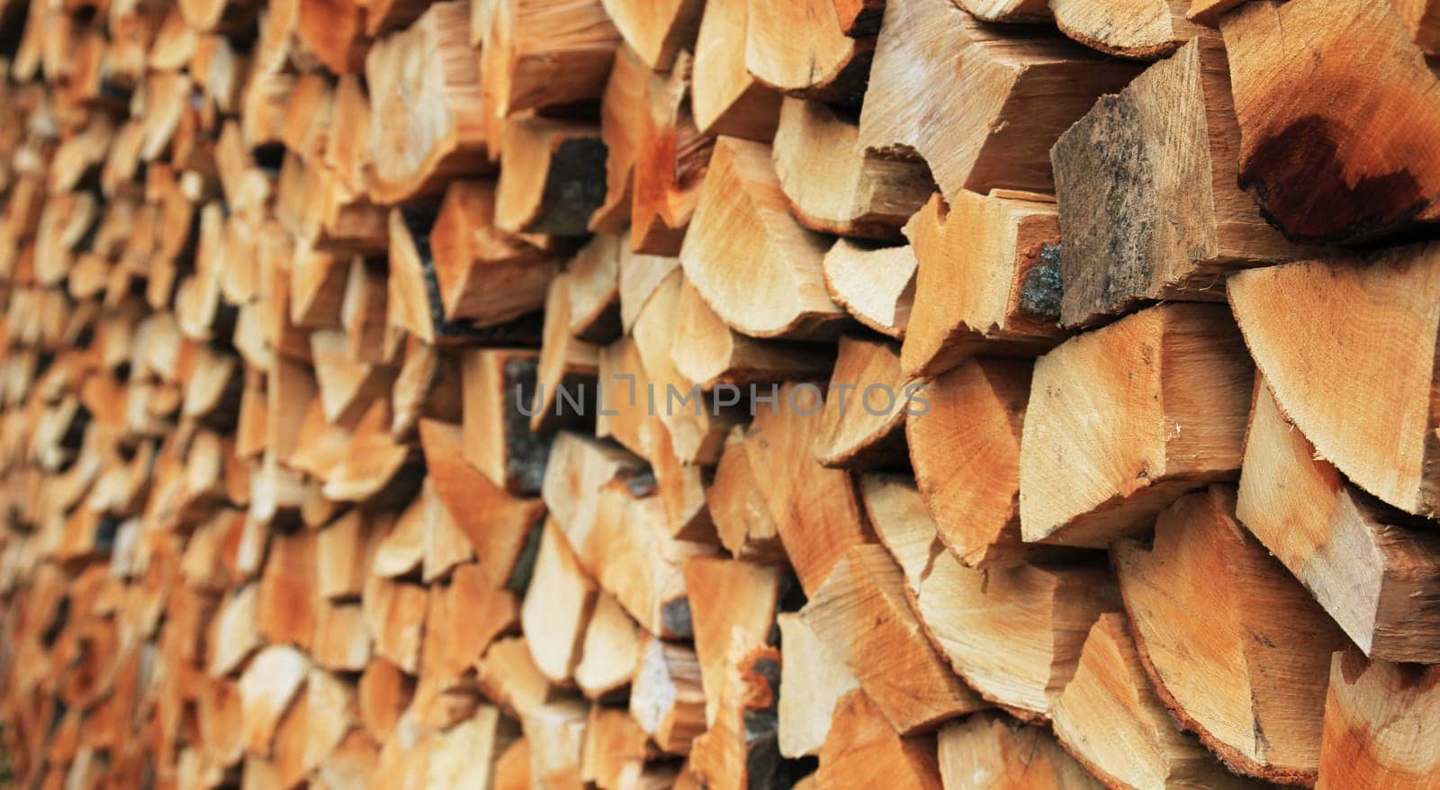 Wood pile