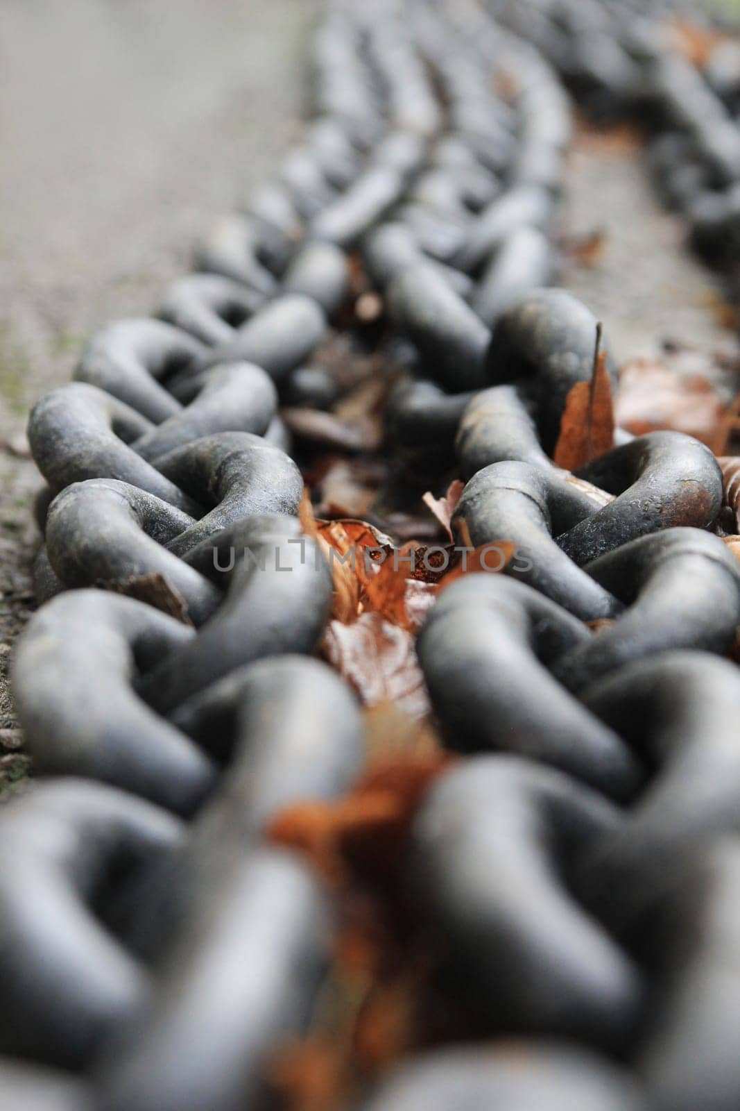 Chain cable