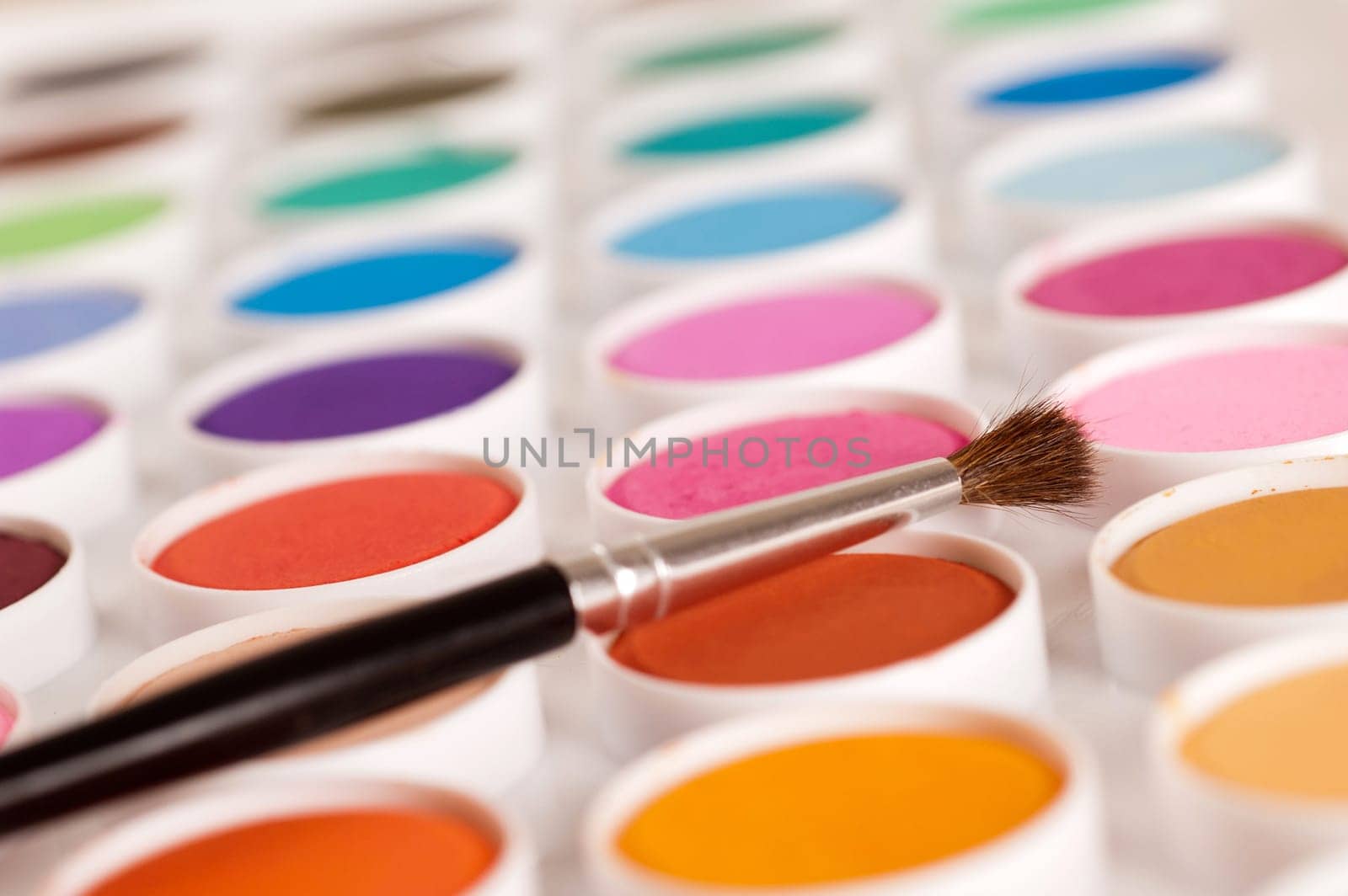 Watercolor Paints