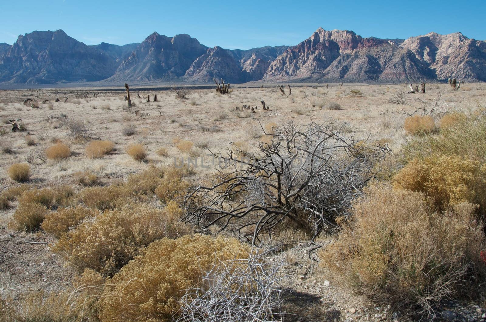 A typical arid Arizona landscape with mountains and prairie