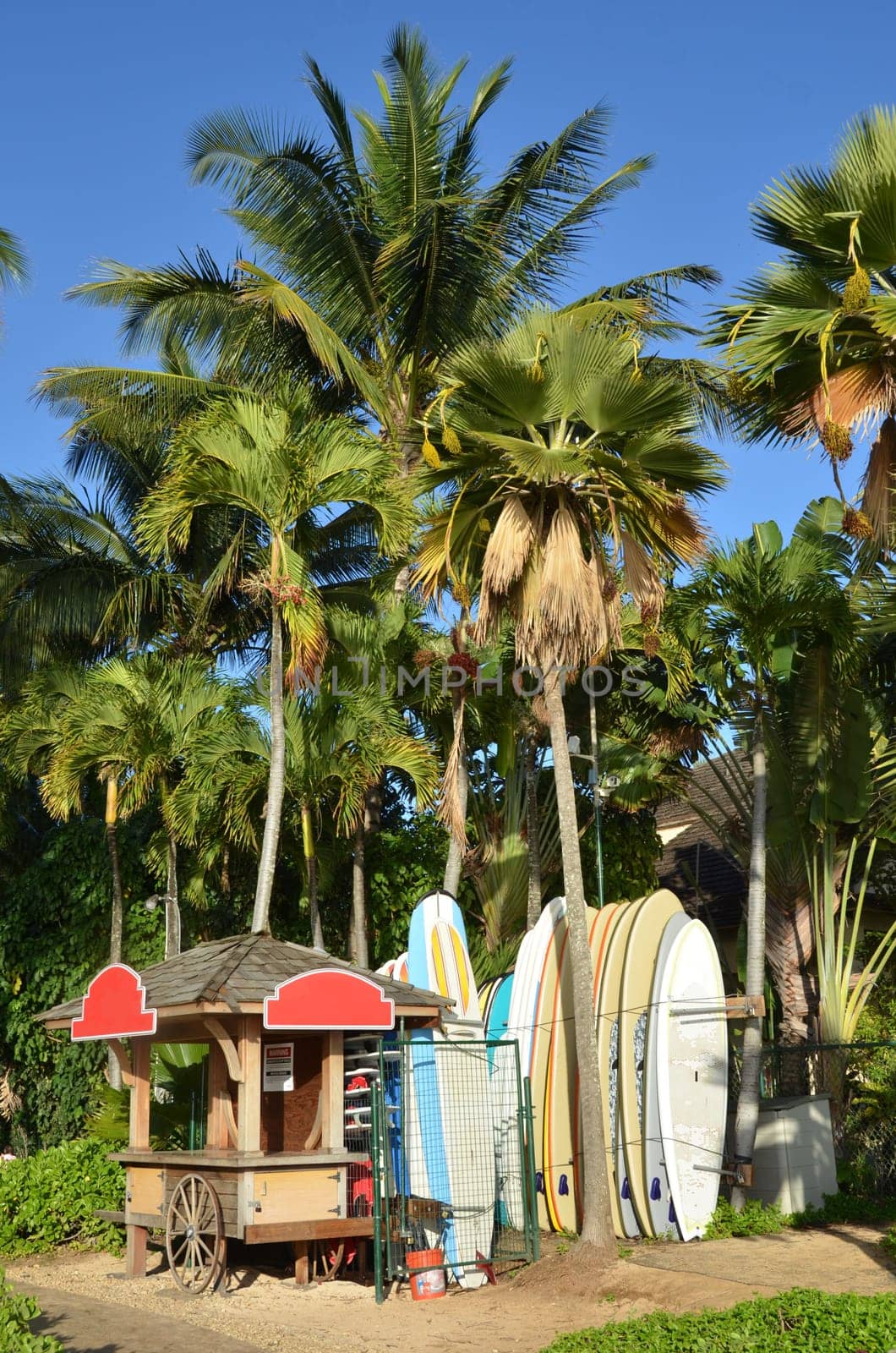 kiosk and some longboard for rent in beautiful scenery