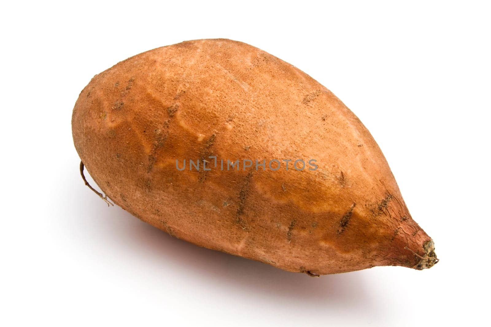 Sweet Potato closeup on white background