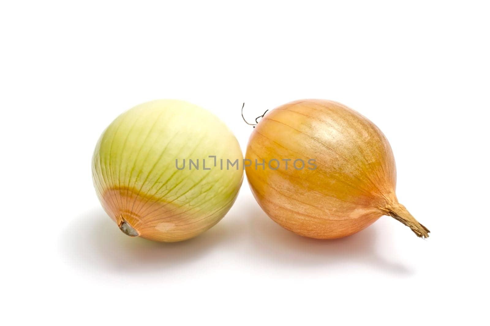 Onions isolated on white background