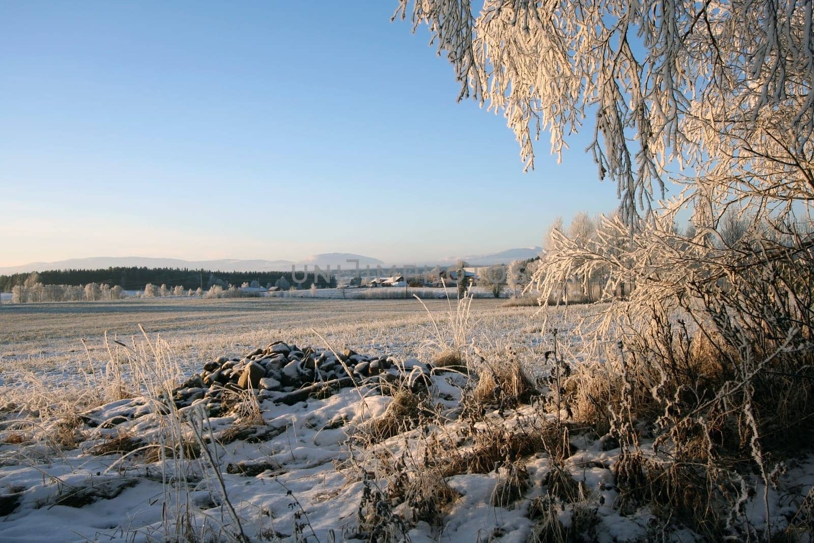 Beautiful winter landscape of Sweden