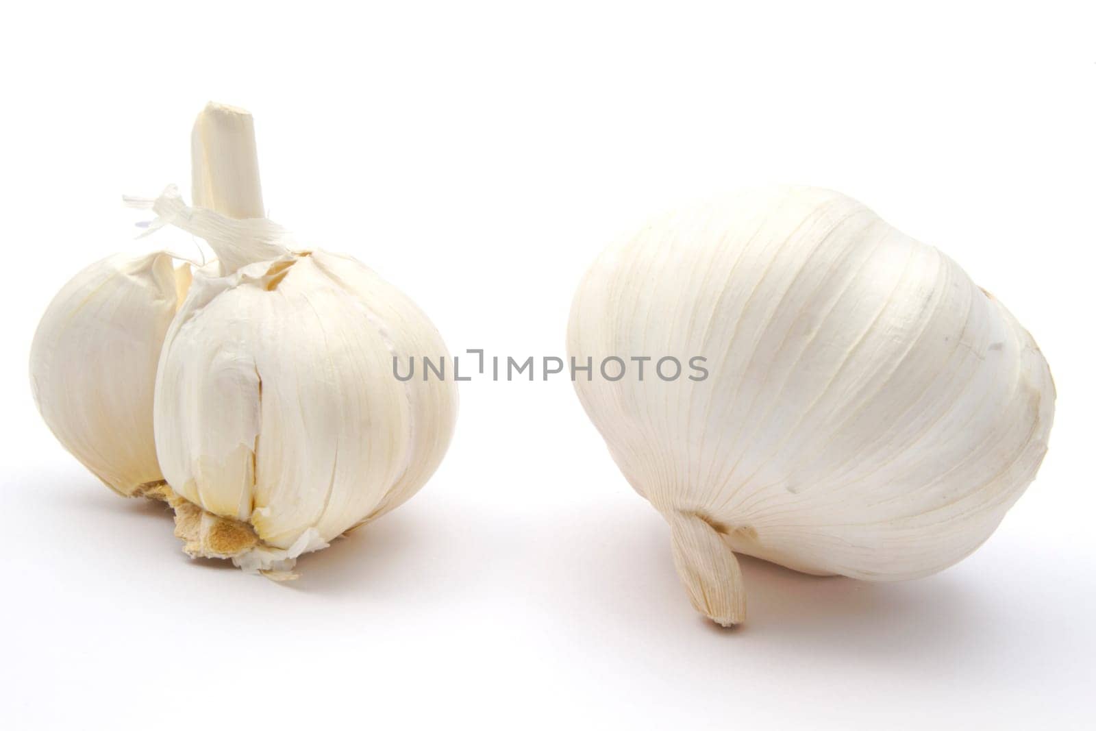 Garlic isolated on a white background