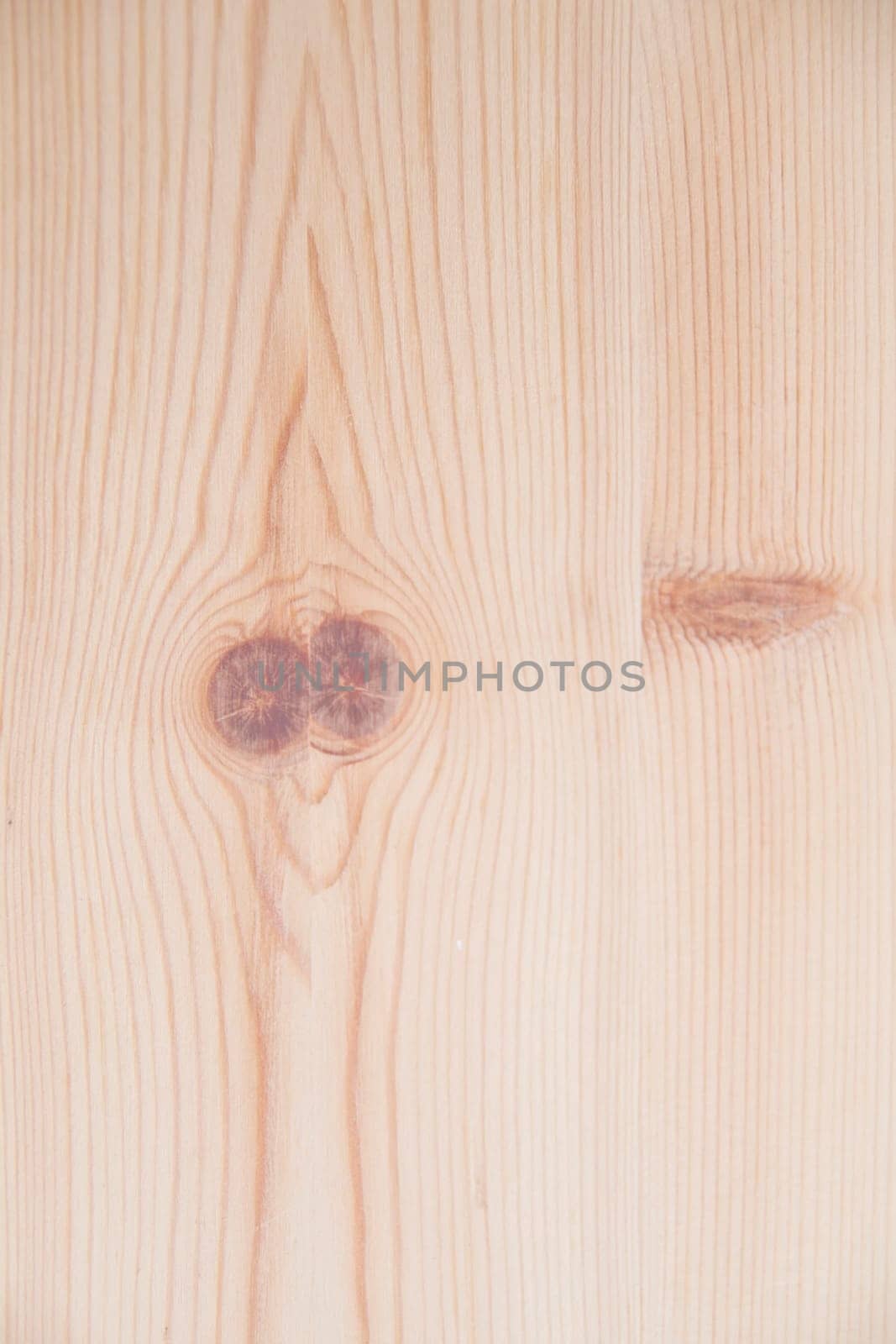 Texture of wood background closeup