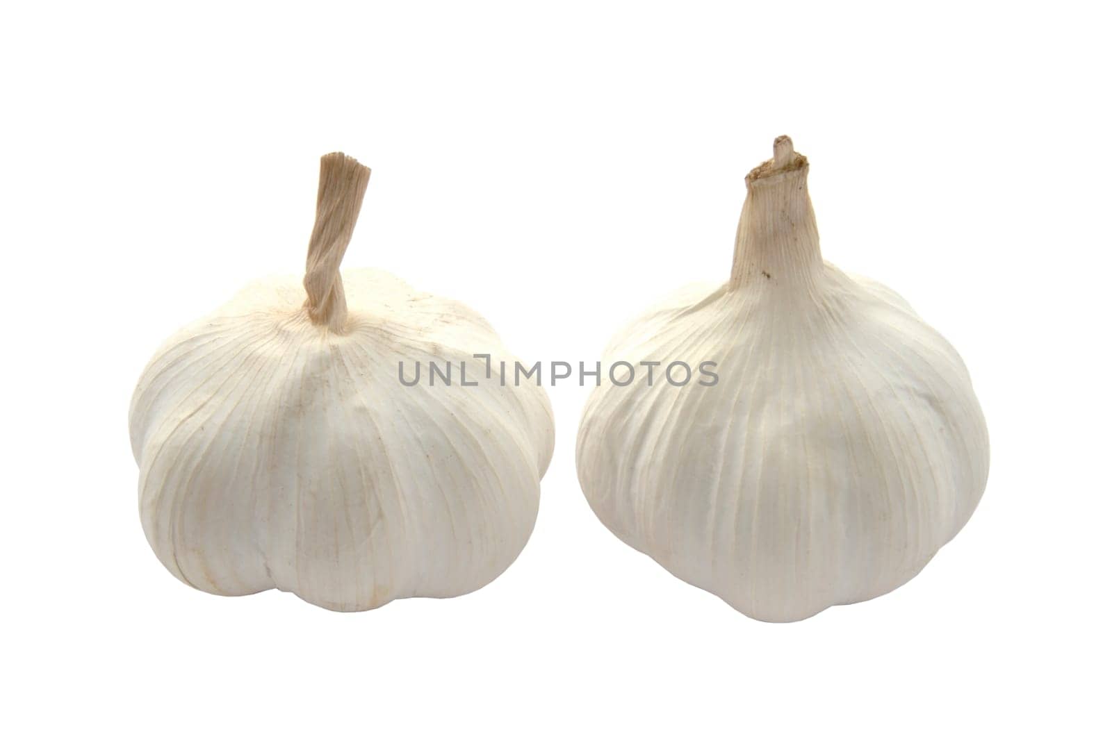 Garlic isolated on white background