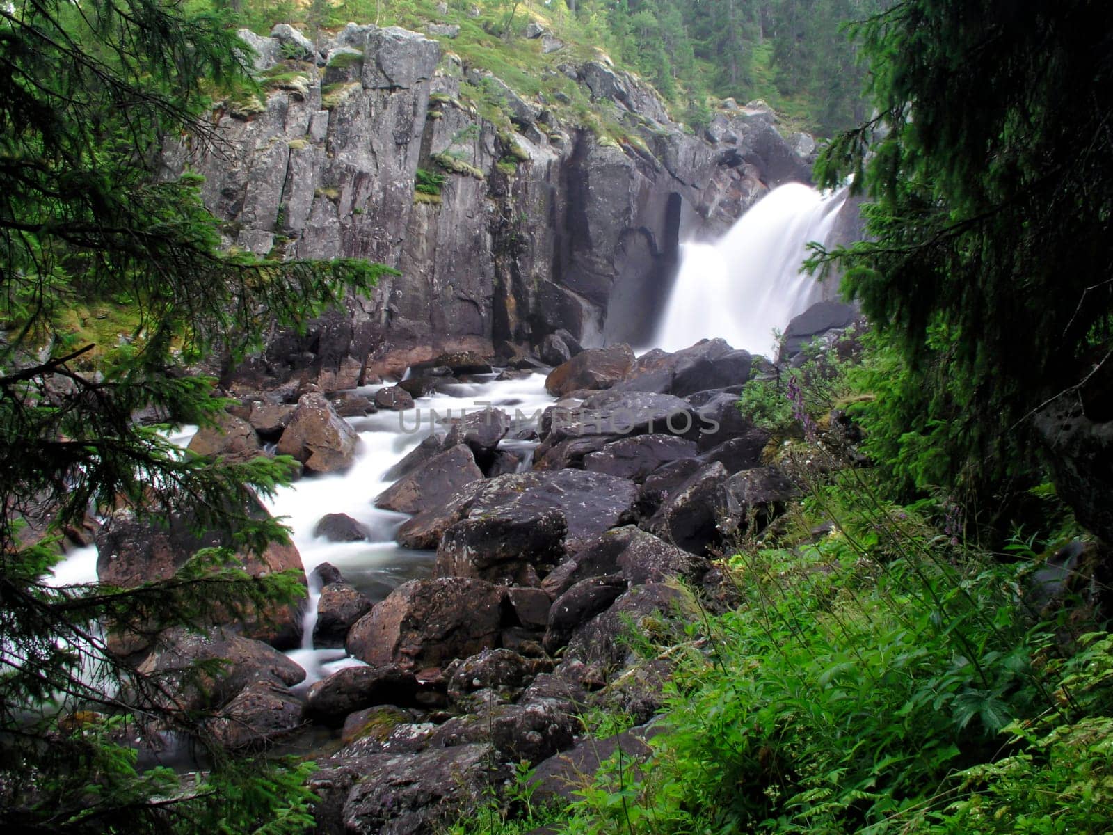 Nature landscape of mountain stream