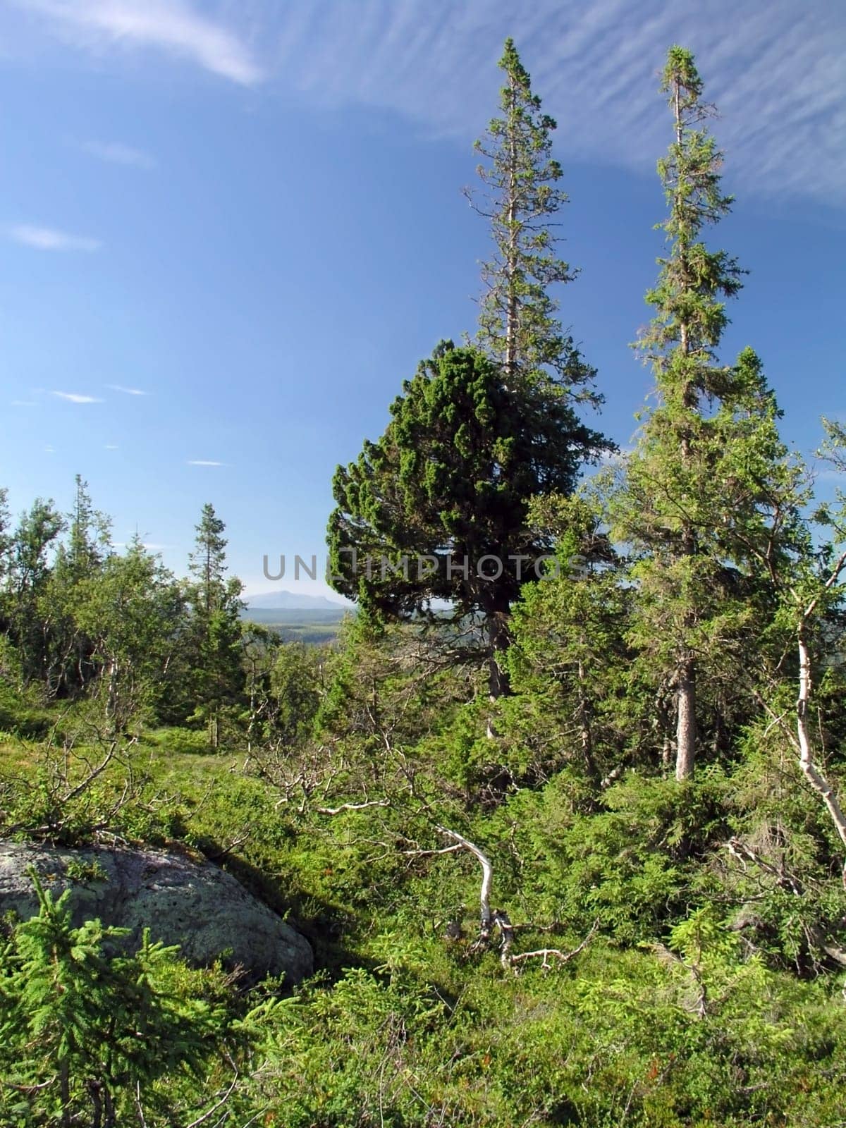 Beautiful mountain landscape with blue sky