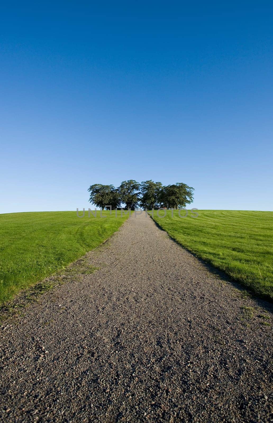 Panoramic scene of a Dirt Road alley