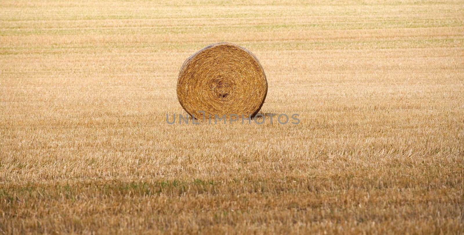 Hay stack on a filed