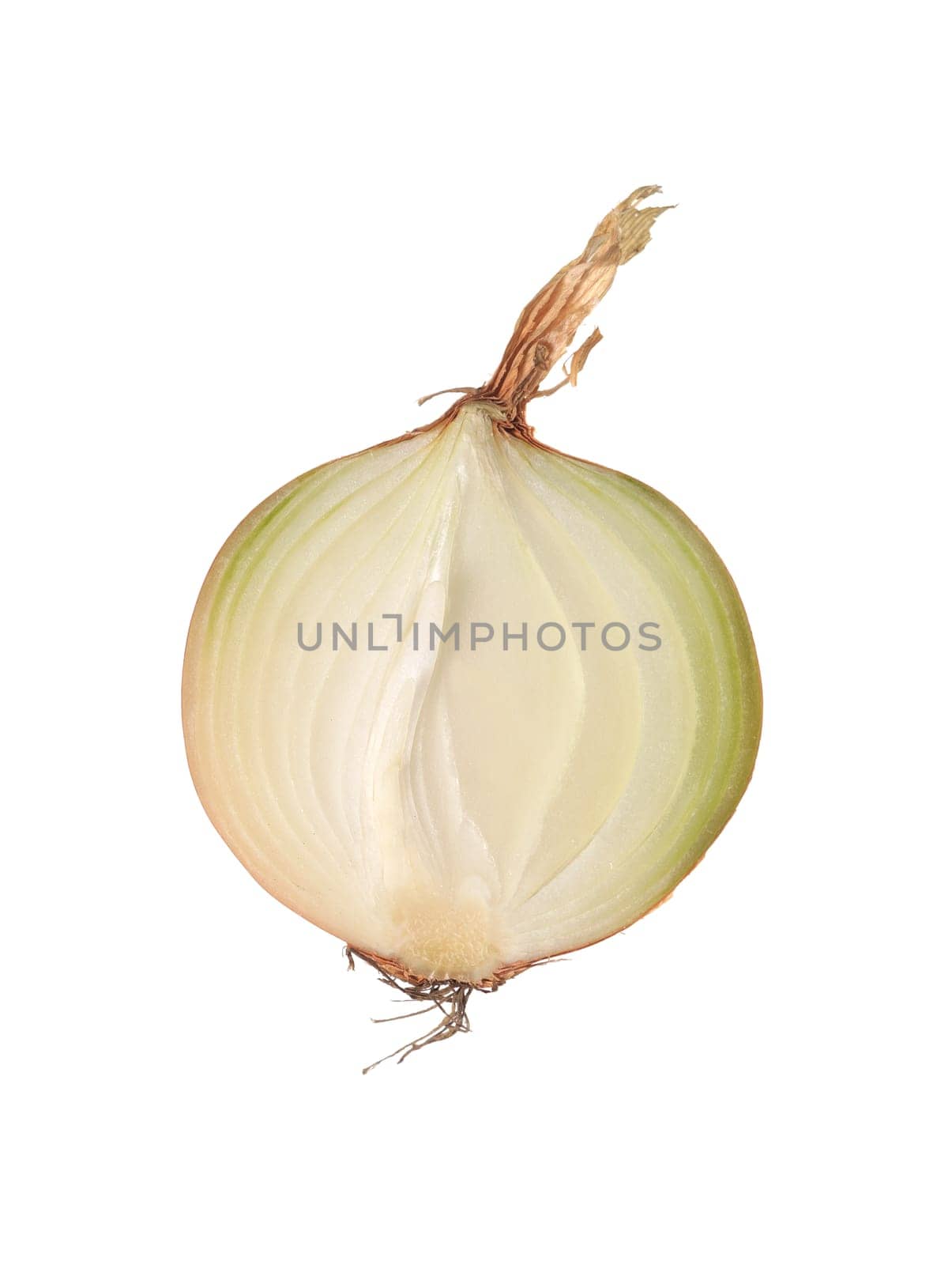 Onion cut in half isolated on white background