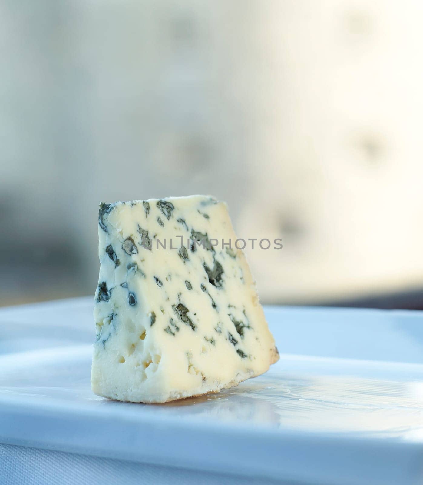 Still Life of Blue Cheese