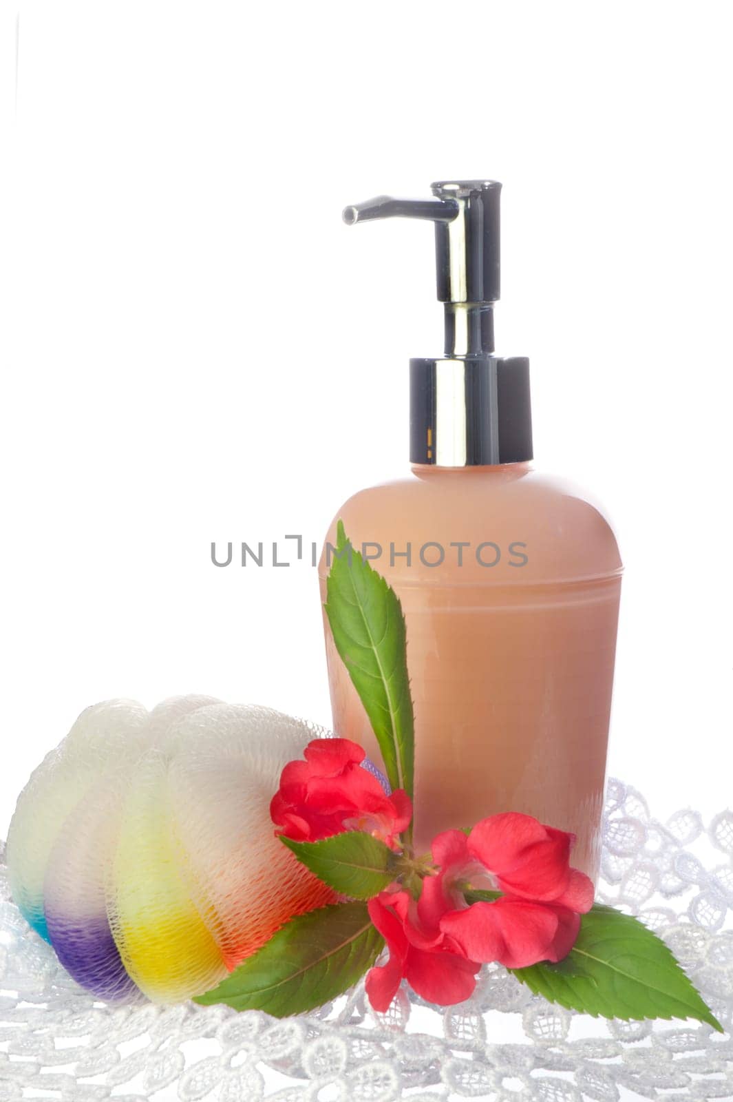 cleaning products of the body on a white background