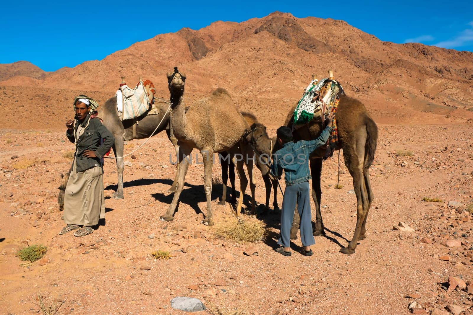 Caravan stops