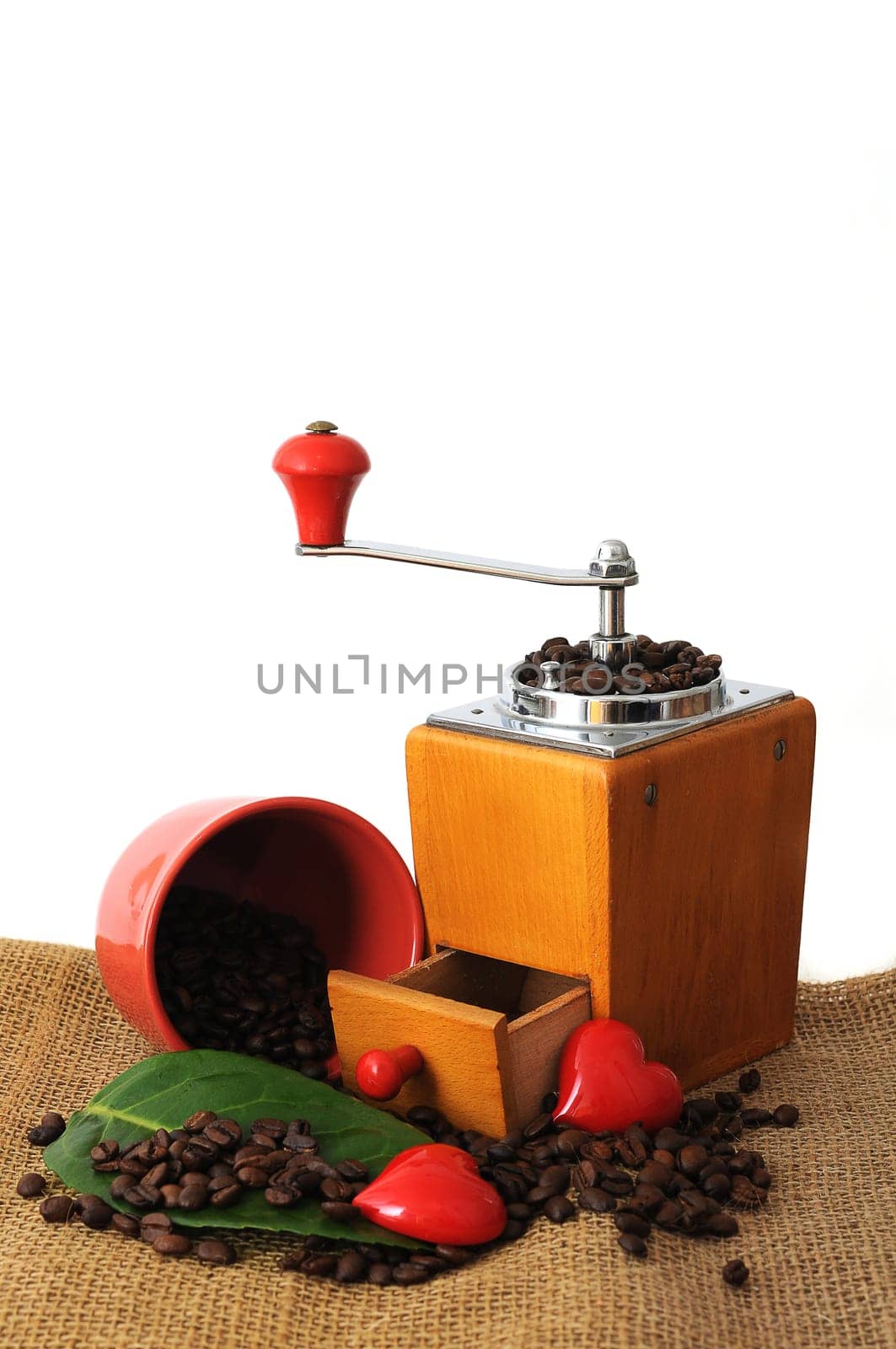 Coffee grinder