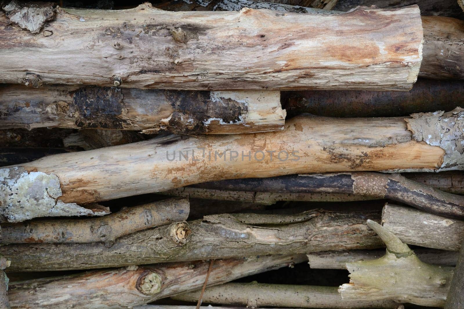 Waste wood piled up
