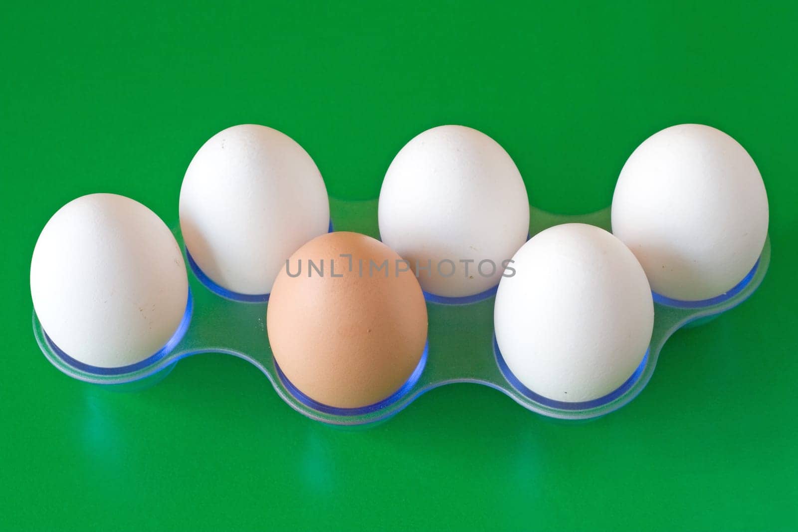 brown egg in a middle of white,on green background