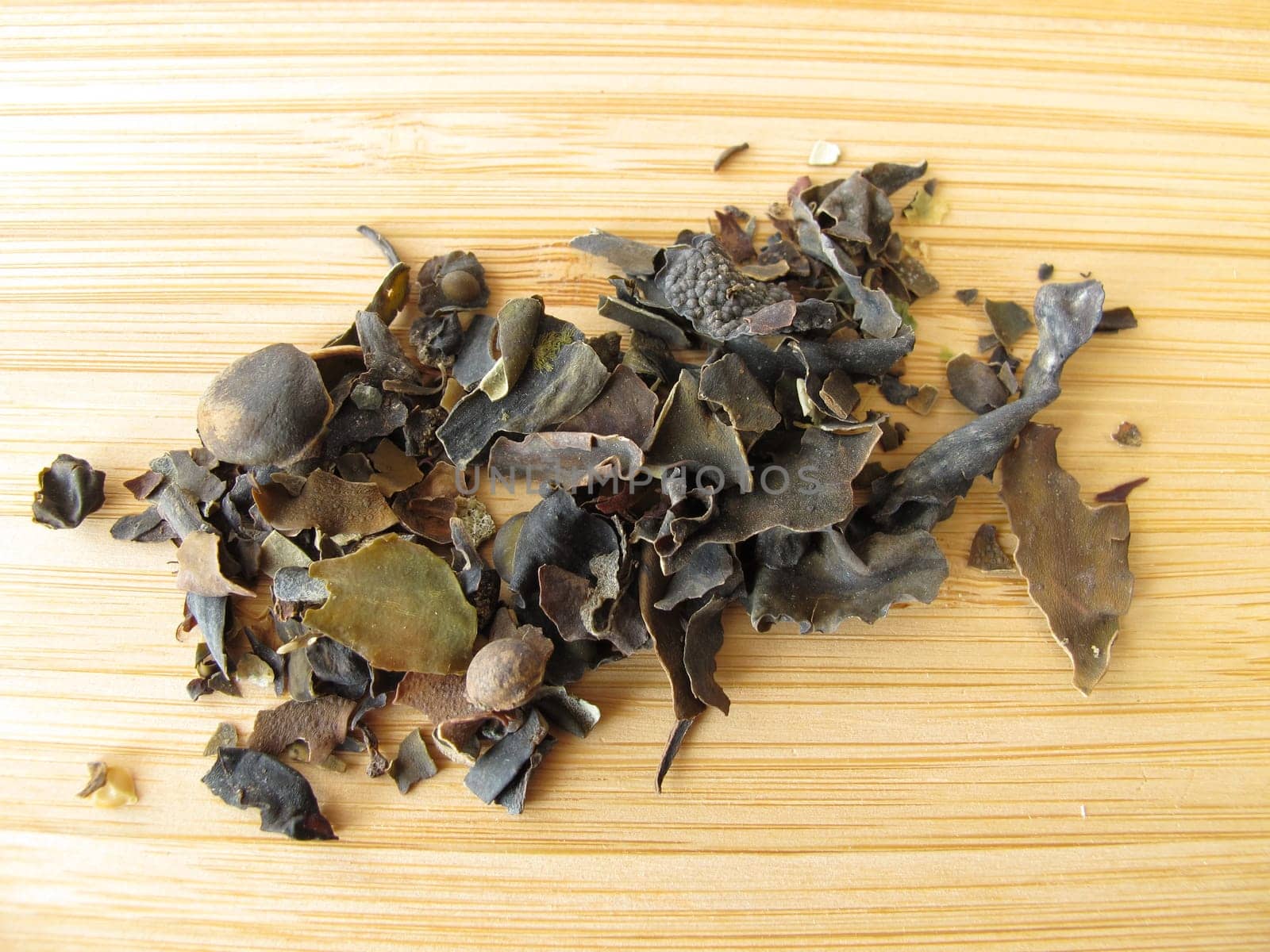 Tang,Fucus