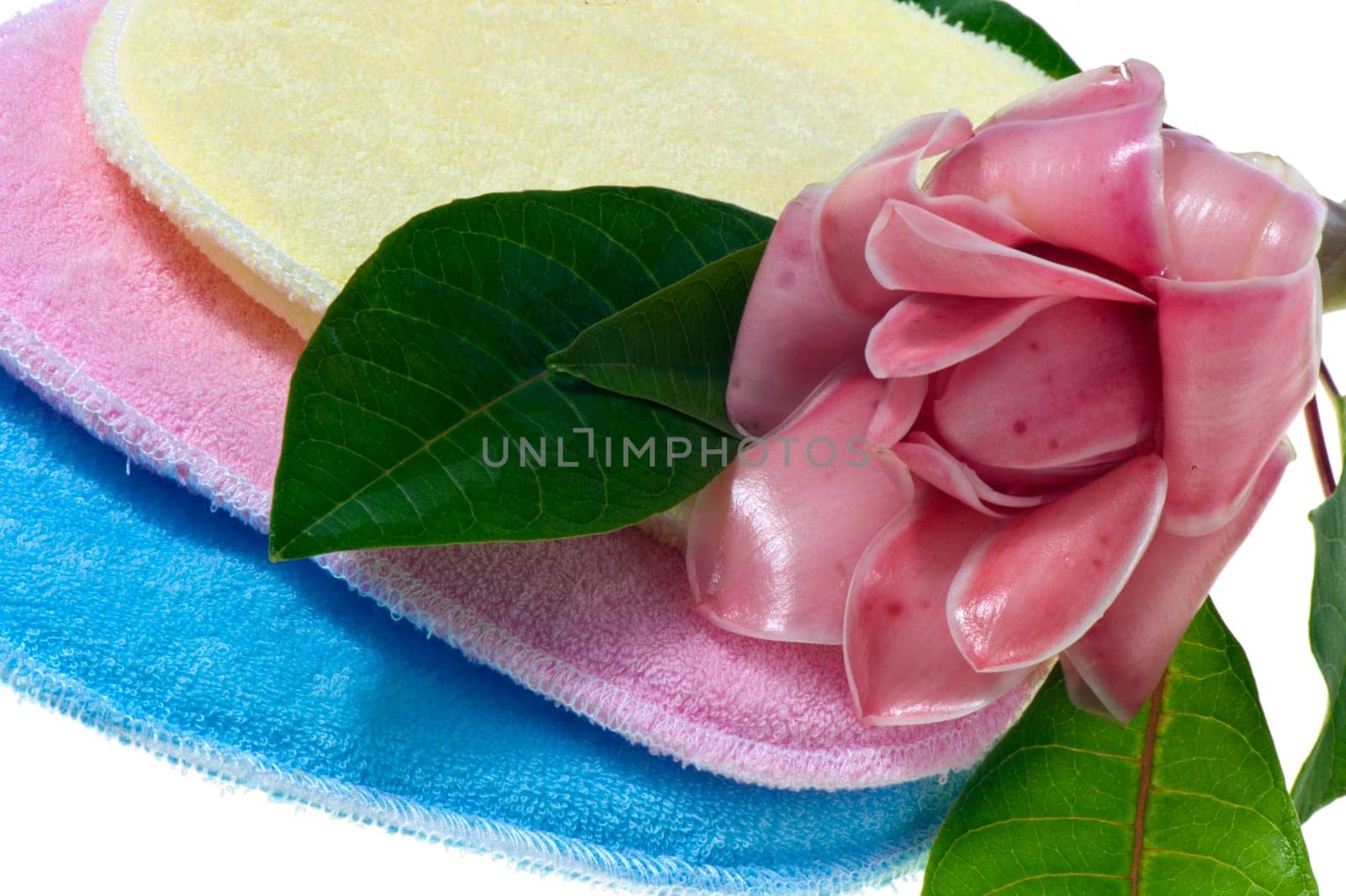 bath sponges in three different colors on white background