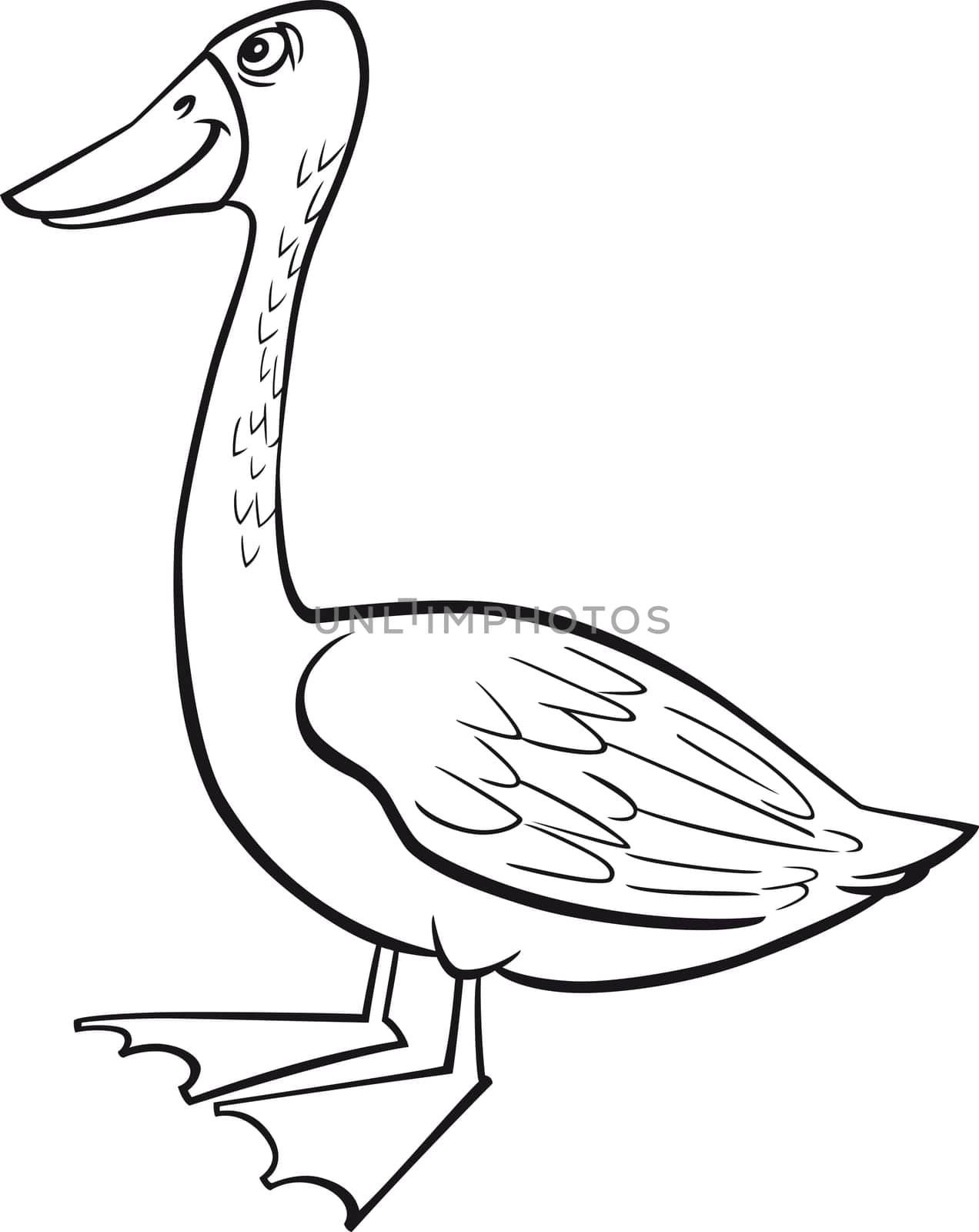 coloring page illustration of funny farm goose