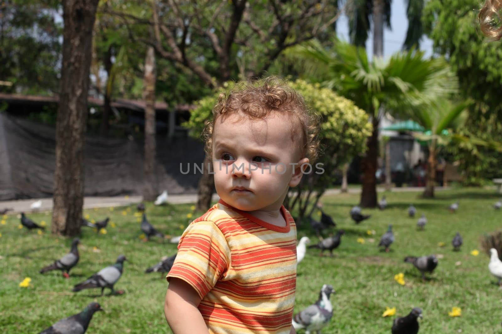 Boy with pigeons in the park
