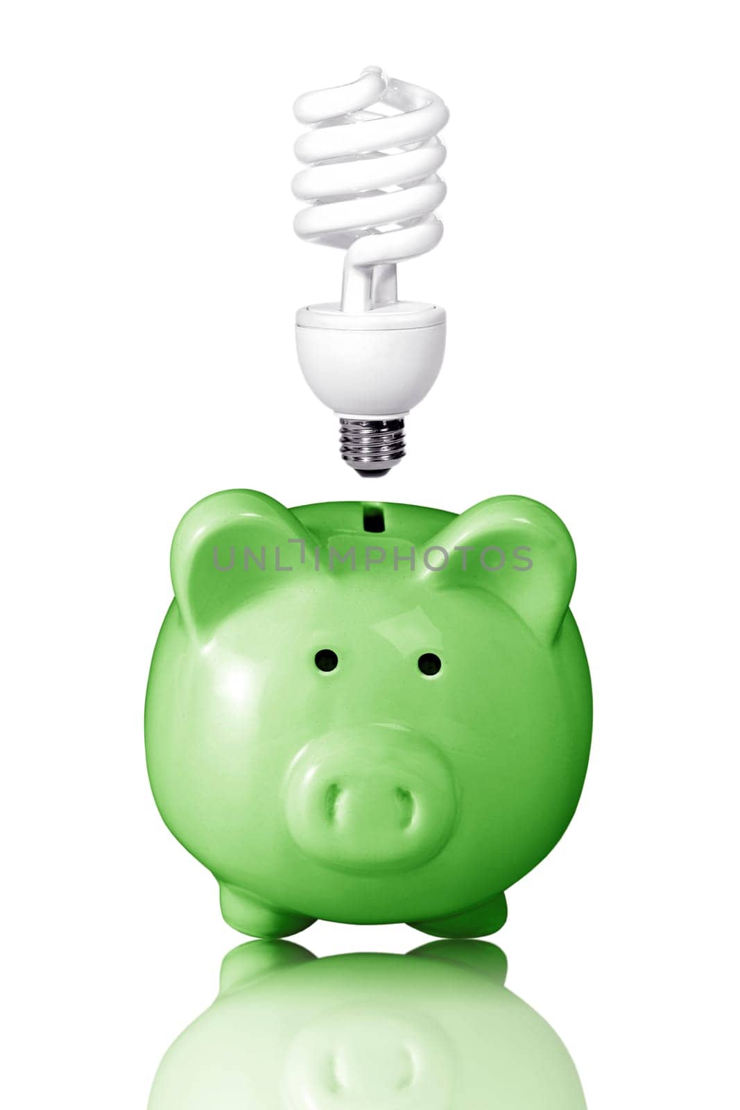 piggy bank with energy savings compact fluorescent lightbulb