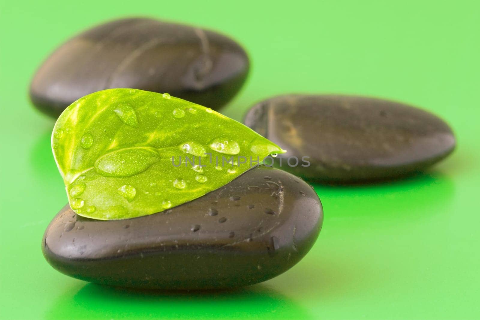 zen stones with leaf on green background