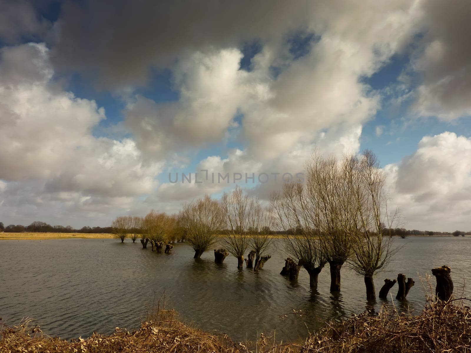 Flooding on the Elbe