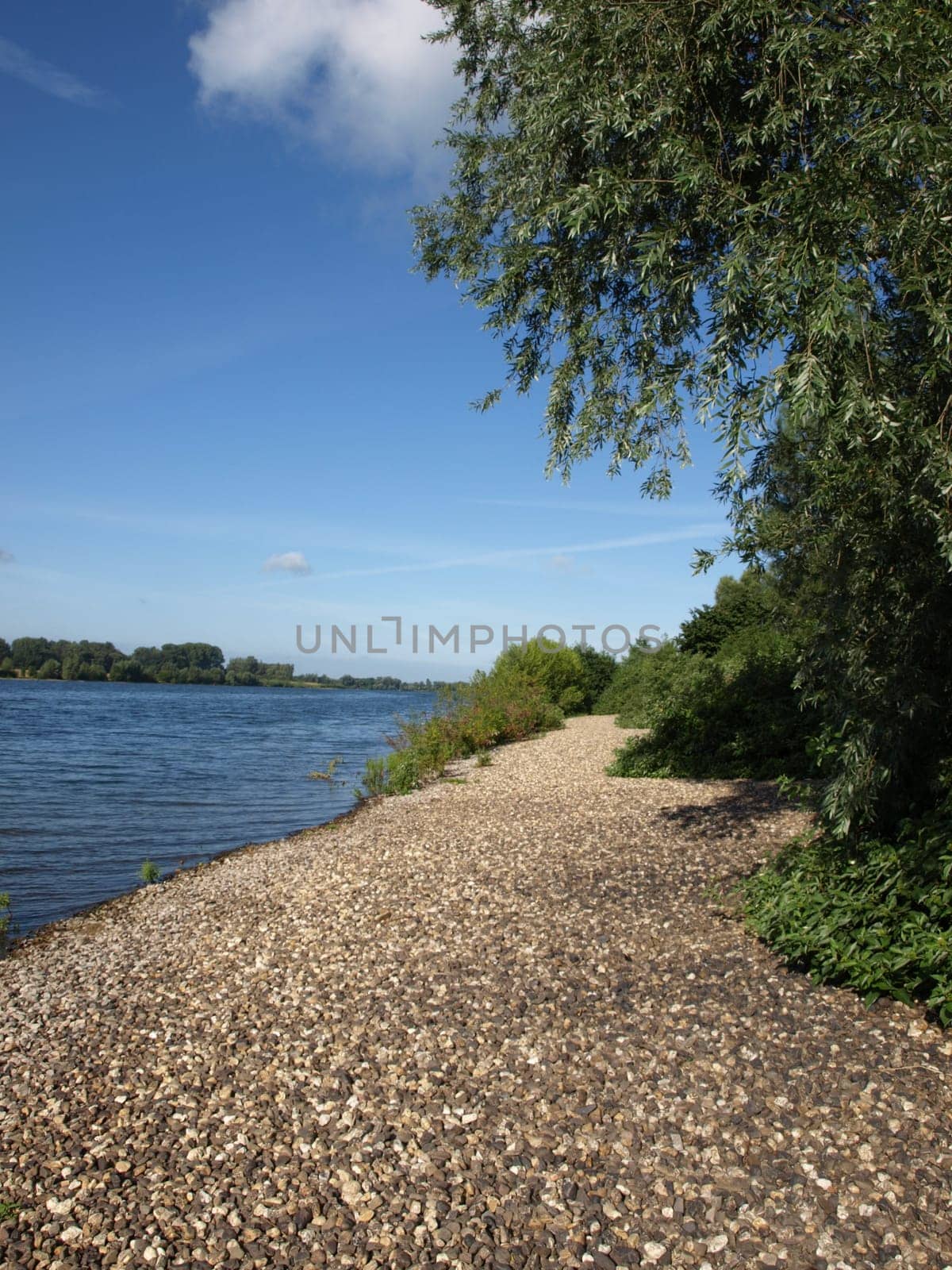 Auesee