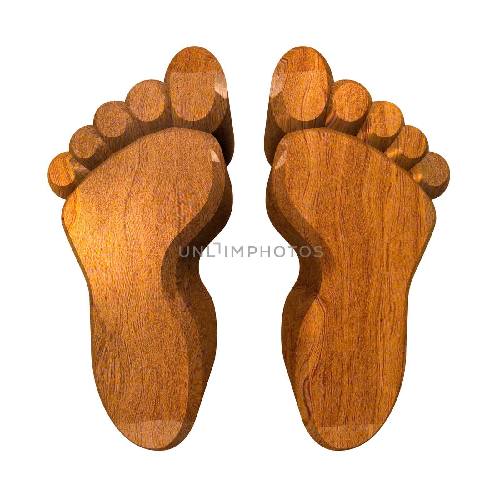 3d made - foot prints in wood